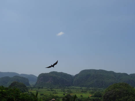 Viñales Valley - Cuba's natuur in vogelvlucht