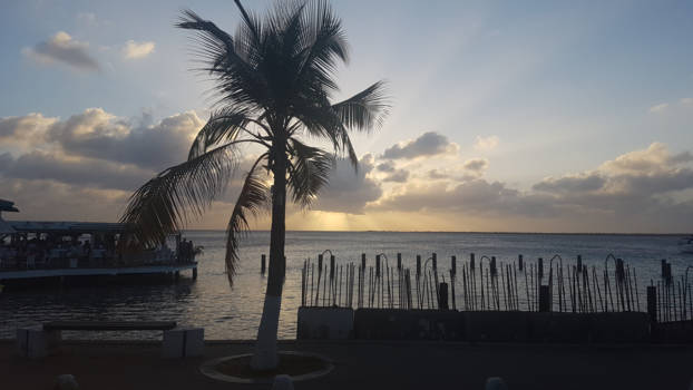 Bonaire - Life on Bonaire