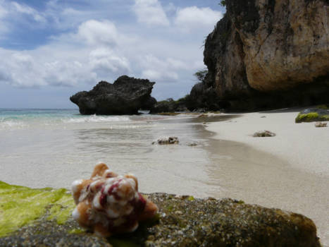 Bonaire - Pure schoonheid!