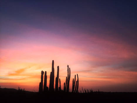 Aruba - My favorite color is sunset