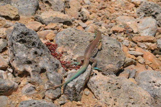 Shete Boka National Park