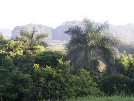 Viñales Valley - Mogotes
