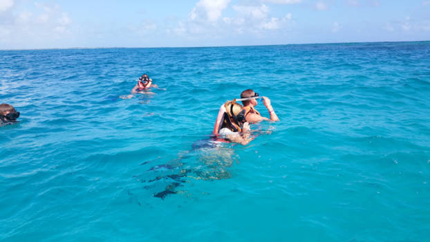 Mexico - Snorkelen
