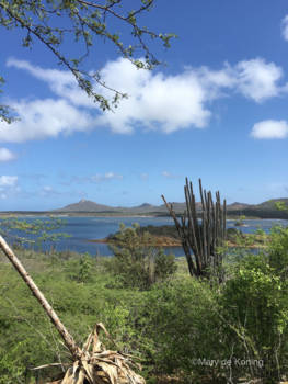 Washington-Slagbaai National Park - Serenity at Washington Slagbaai National Park 