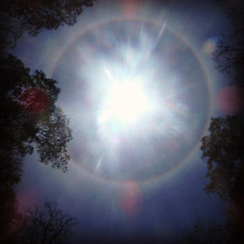 Punta Cana - a dream