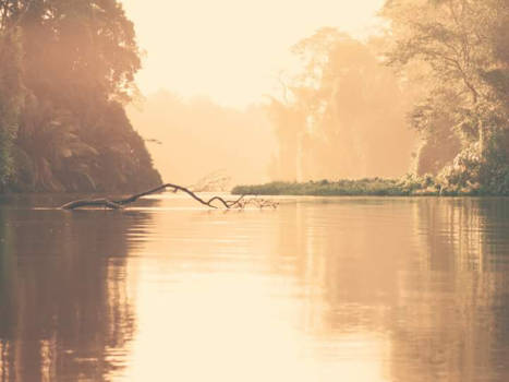 Costa Rica - Tortuguero
