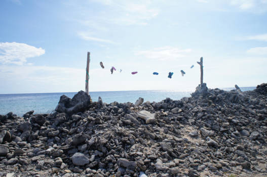 Bonaire - aangespoeld