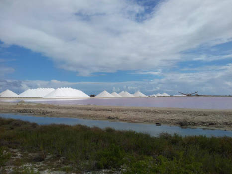 Bonaire - Zoutpanne