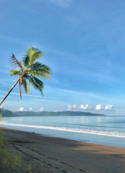 Costa Rica - Morning walks in Paradise