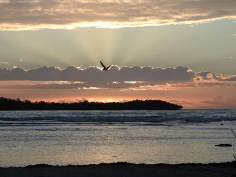 Cuba - Sunset on the beach