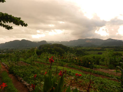 Viñales Valley - De olifantsruggen van Vinales