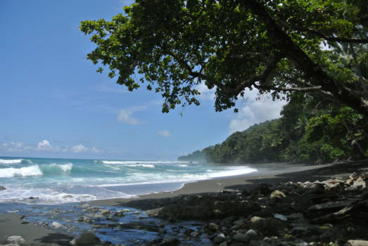 Corcovado National Park - Het strand en jungle bij Corcovado, Costa Rica