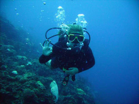 Curaçao - PADI open water duikbrevet halen
