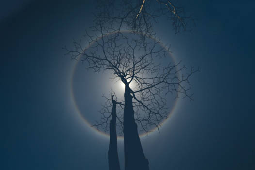 Costa Rica - Halo Corcovado