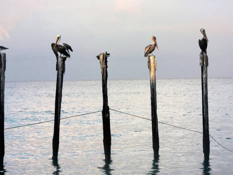 Aruba - Subset Aruba