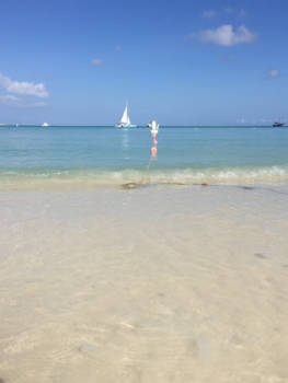 Aruba - Prachtige stranden