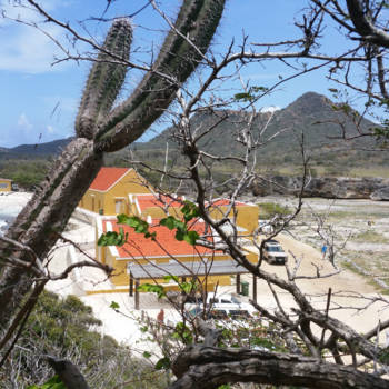 Washington-Slagbaai National Park - Just another day in Paradise