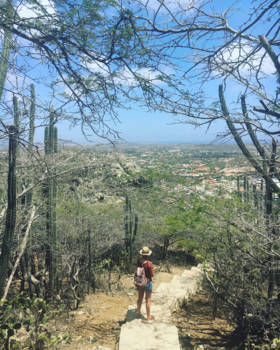 Aruba - Walking on the caribbean island☀️