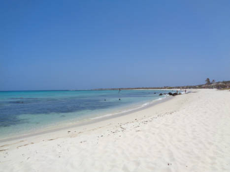 Aruba - arashi beach