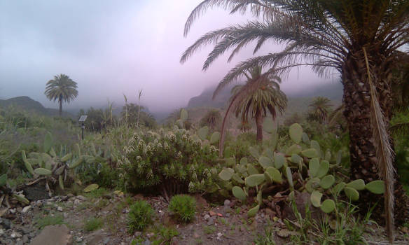 Aruba - The silent sound