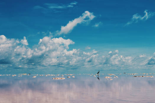 Bonaire - Salt flat mirror