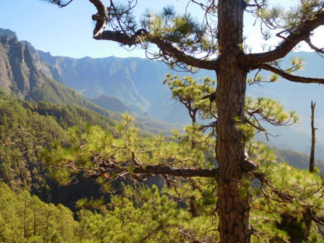 La Palma - Uitzicht op dak van het eiland