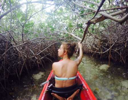 Bonaire - Wonderbaarlijke mangroven Bonaire