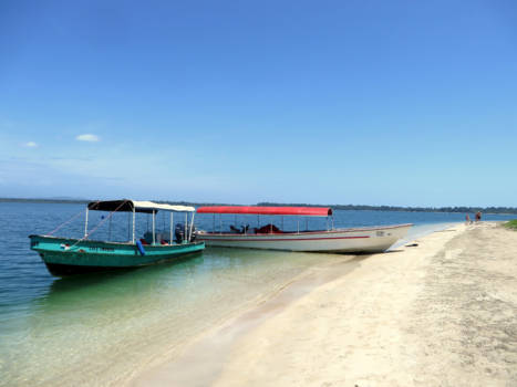 Cahuita National Park