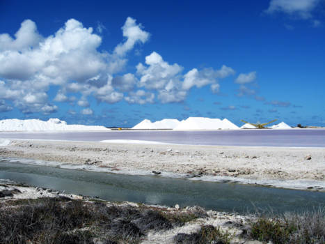 Bonaire - Ongelooflijke kleuren van Bonaire