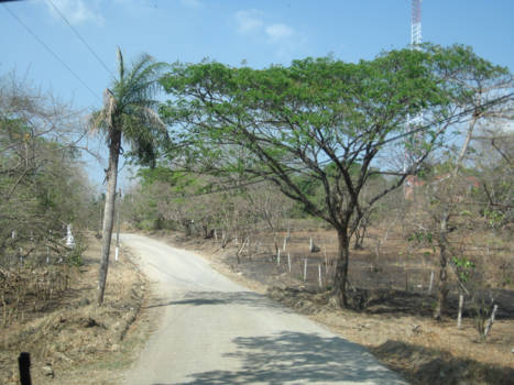 Costa Rica - De busreis