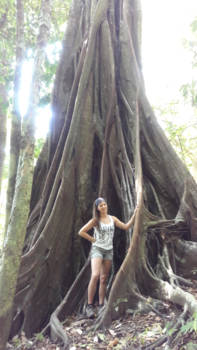 Corcovado National Park