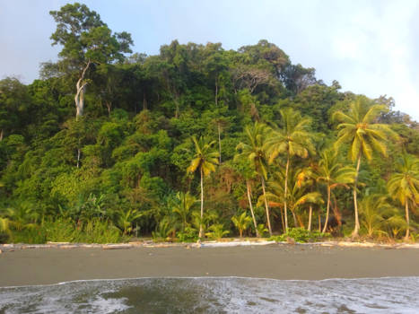 Corcovado National Park
