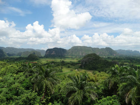Cuba - vinales