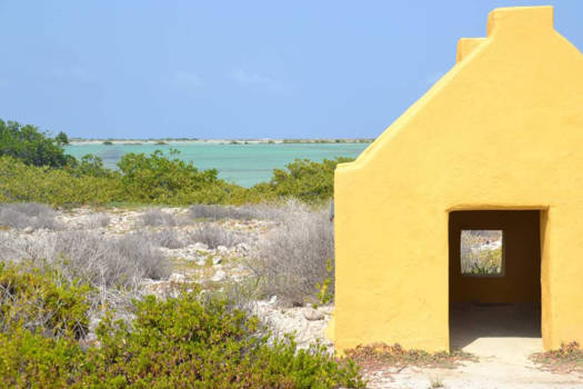 Bonaire - Everyone deserves freedom