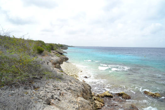 Bonaire - geweldige natuur