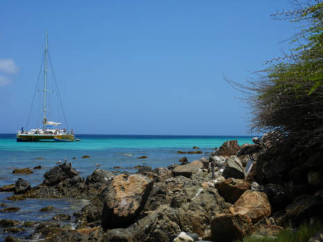 Aruba - De azuurblauwe zee van Aruba met rechts een pelikaan.