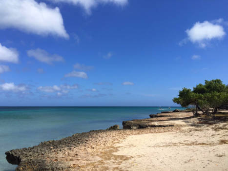 Aruba