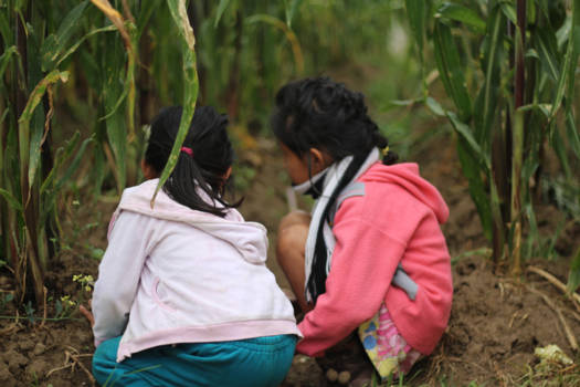 Guatemala - Spelende kindjes in de natuur