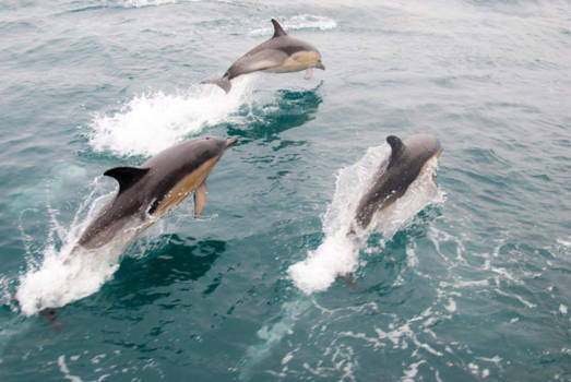 Cuba - Catamaran tocht
