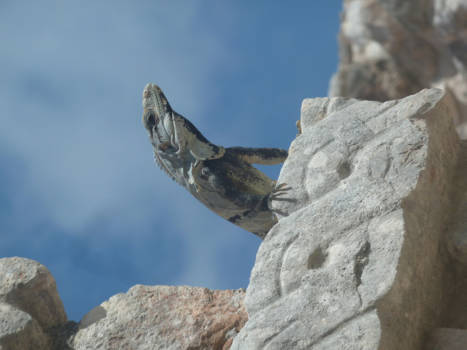 Uxmal - overseeing my kingdom!