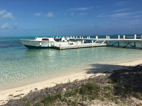 Belize Cayes - Halfmoon caye