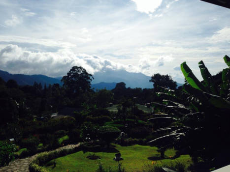 Bocas del Toro - Rustgevend Uitzicht op de koffieplantage.