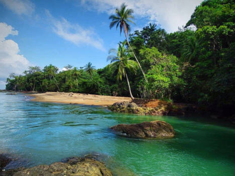 Corcovado National Park - Rio Claro, Corcovado