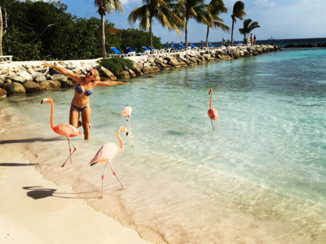 Aruba - Flamingo dance