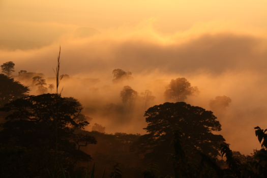 Costa Rica - Opkomende mist in de avondschemering