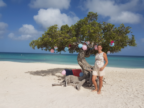 Aruba - What would it be?