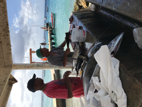 Curaçao - Summerlicius!