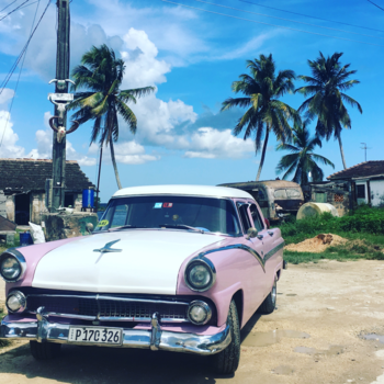 Playa Larga - Back in time