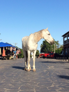 Nicaragua - Americo midden op straat..
