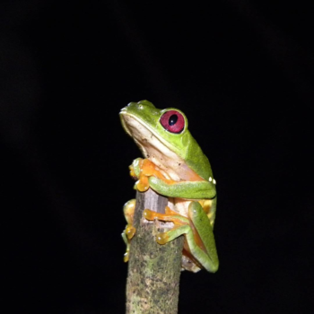 Costa Rica - Nature is mind blowing...